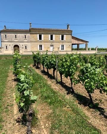 Gite Du Chateau La Rose Des Vents Villa Puisseguin Eksteriør billede