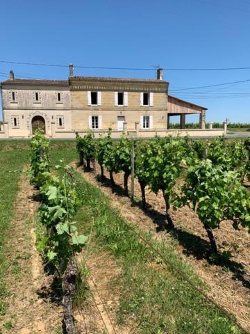 Gite Du Chateau La Rose Des Vents Villa Puisseguin Eksteriør billede