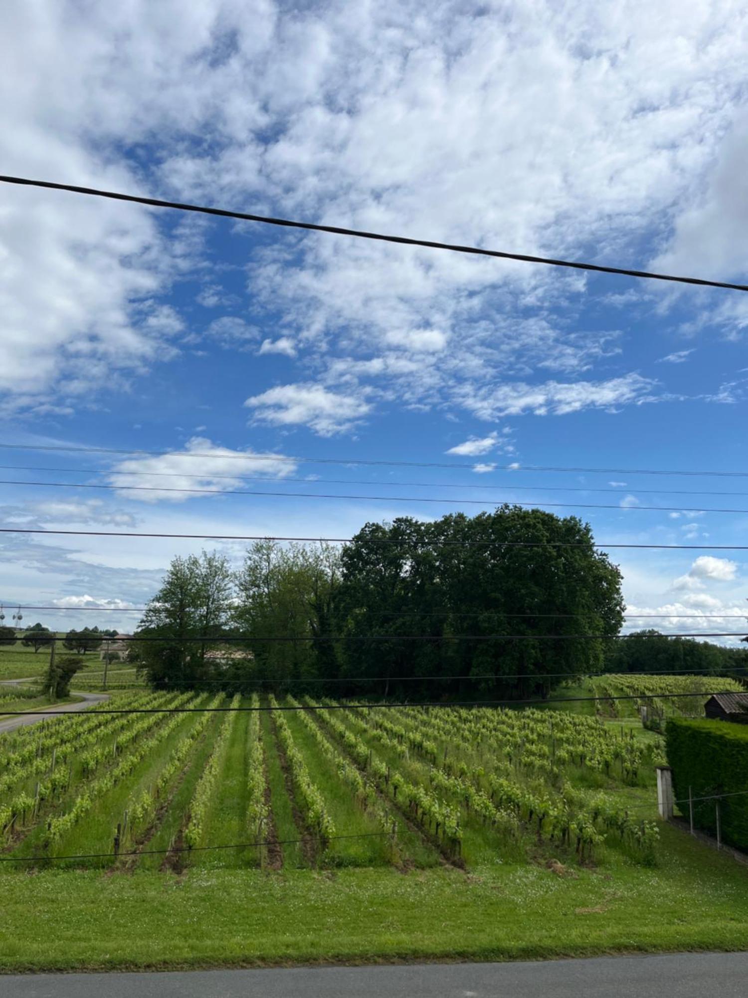 Gite Du Chateau La Rose Des Vents Villa Puisseguin Eksteriør billede